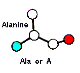 Ala