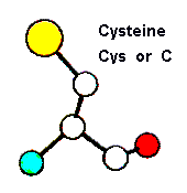 Cys