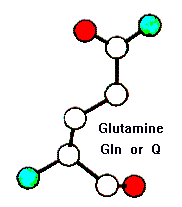 Gln