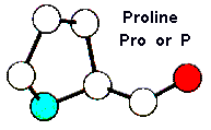 Pro