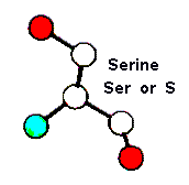 Ser